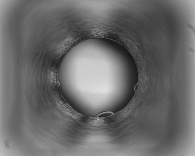 X0000100850768200806201214