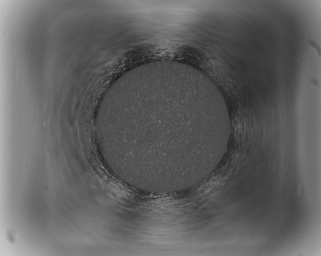 X0000100850769200806201213