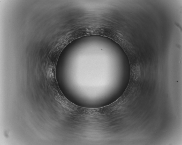 X0000100850770200806201213