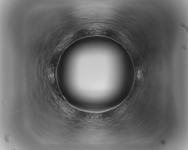 X0000100850771200806201213