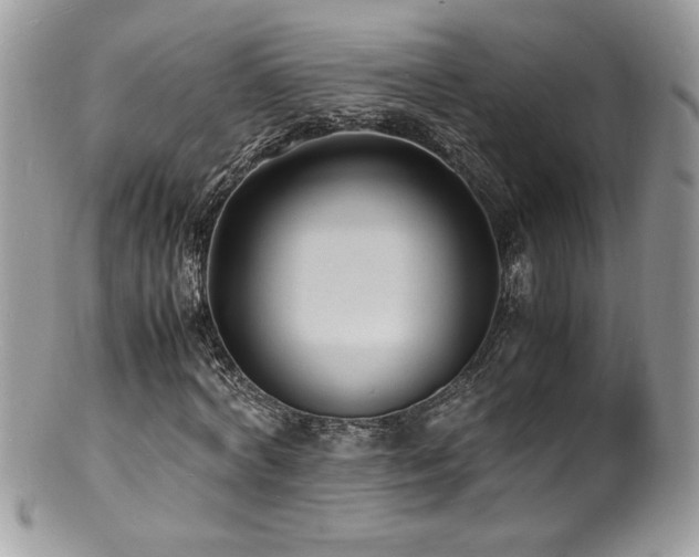 X0000100850772200806201213