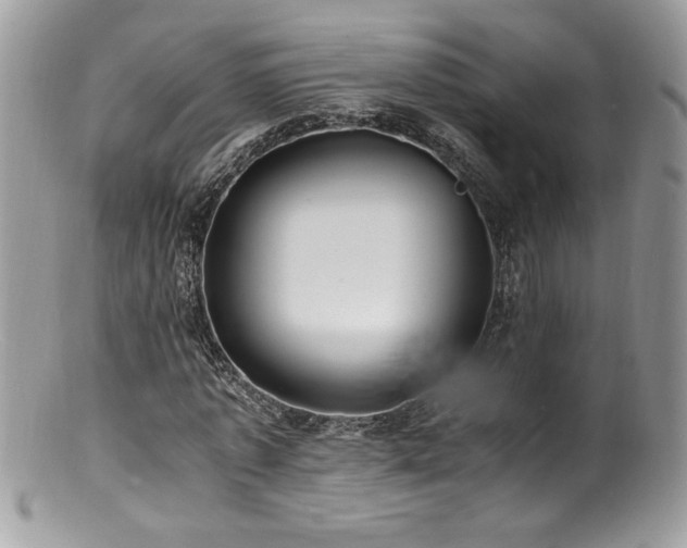 X0000100850773200806201213