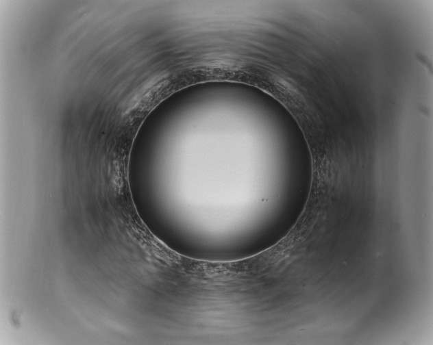 X0000100850774200806201213