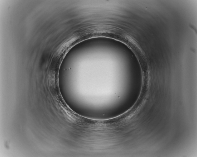 X0000100850777200806201213