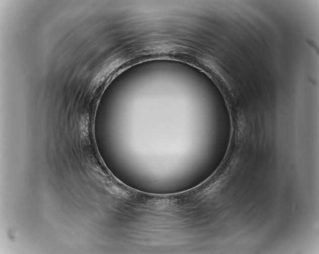 X0000100850778200806201213