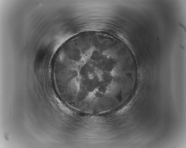 X0000100850779200806201213