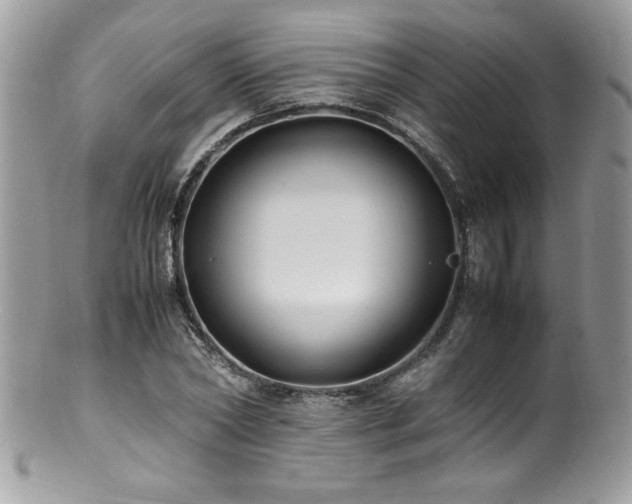 X0000100850782200806201213