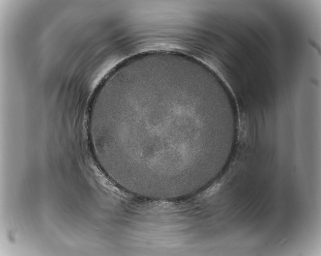 X0000100850783200806201213