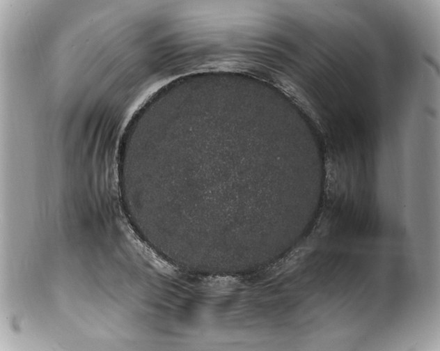 X0000100850784200806201213
