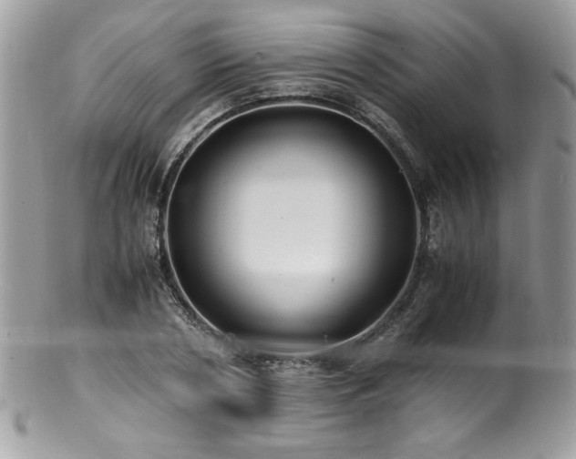 X0000100850786200806201213