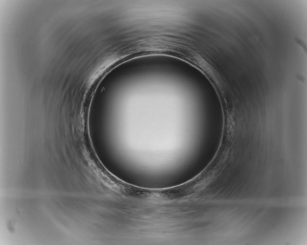 X0000100850787200806201213