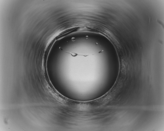 X0000100850788200806201213