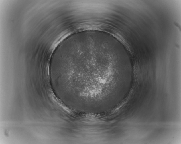 X0000100850790200806201213