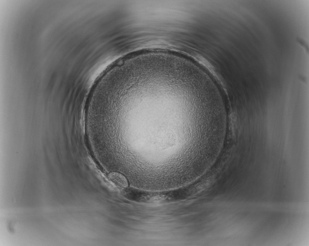 X0000100850791200806201213