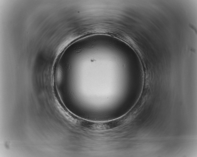 X0000100850795200806201213