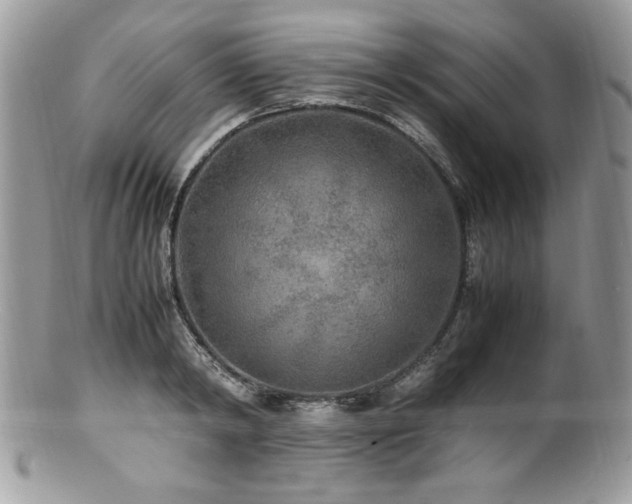 X0000100850798200806201213