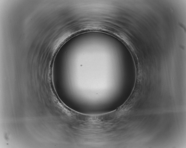 X0000100850799200806201213