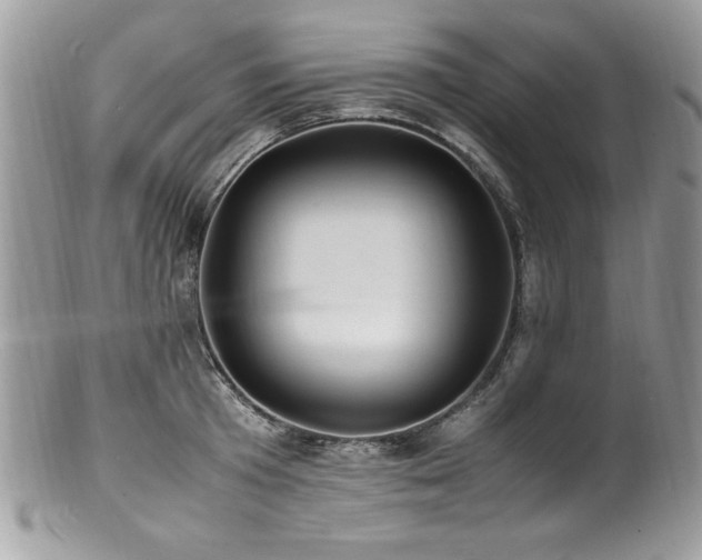 X0000100850801200806201212