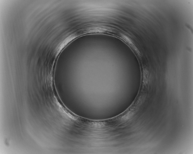 X0000100850802200806201212