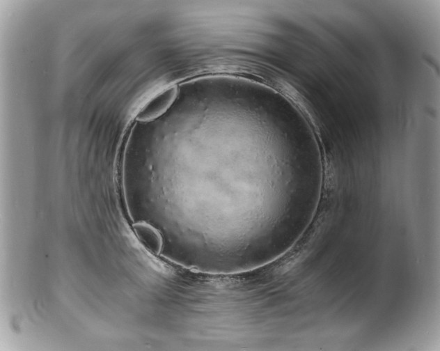 X0000100850803200806201212