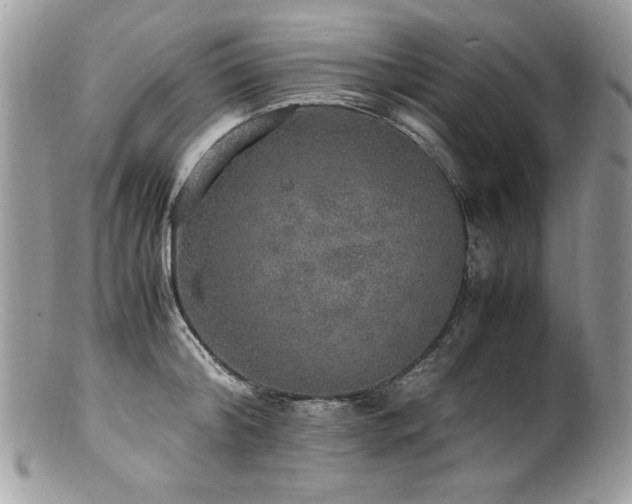 X0000100850804200806201212