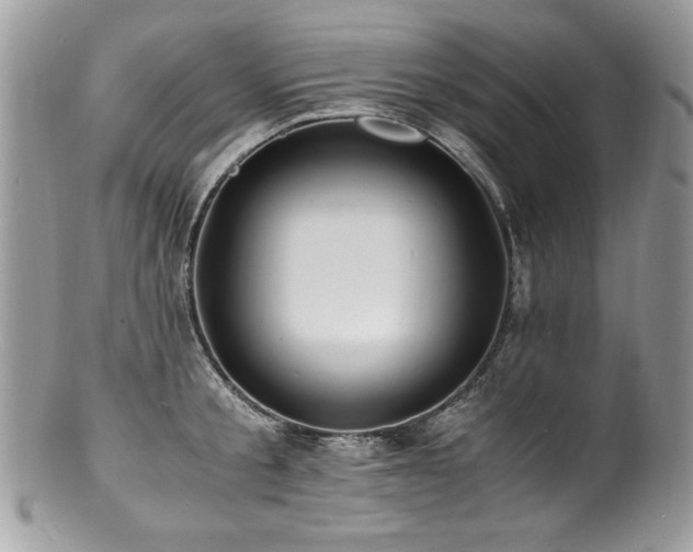 X0000100850805200806201212