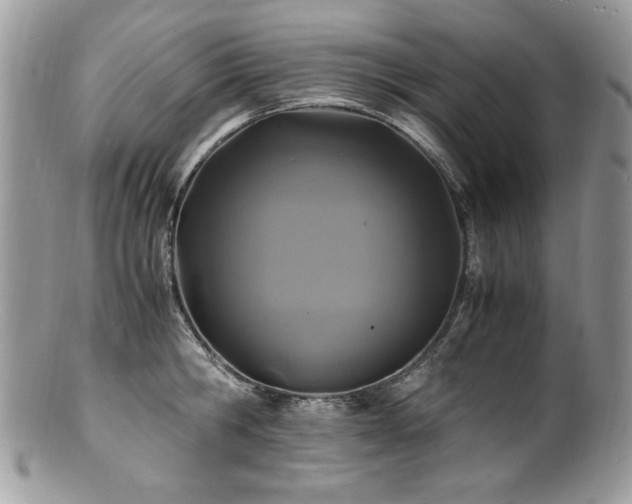 X0000100850806200806201212