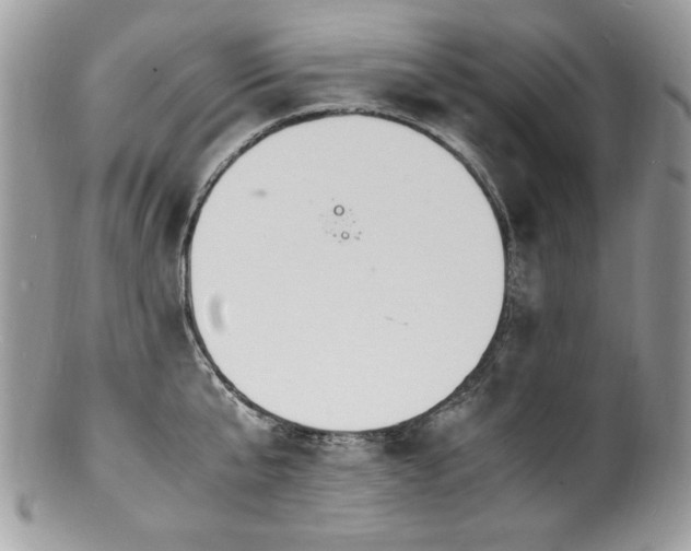 X0000100850807200806201212