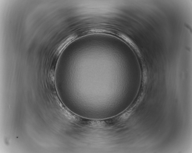 X0000100850809200806201212