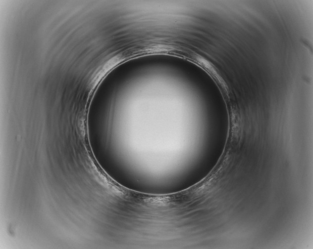 X0000100850810200806201212