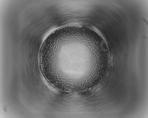 X0000100850811200806201212