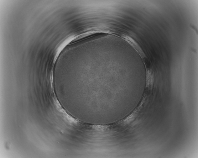 X0000100850812200806201212
