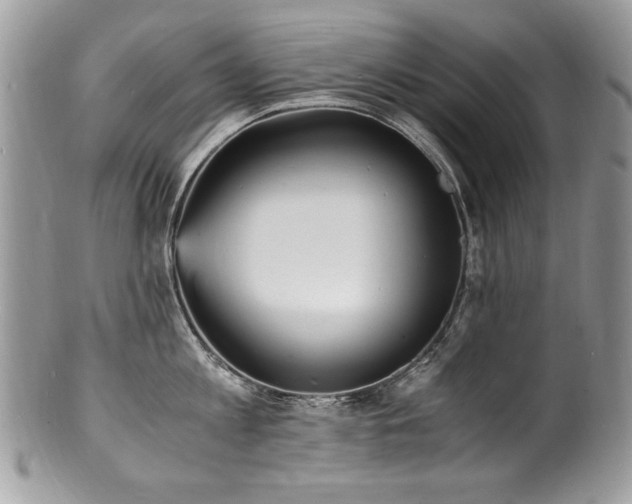 X0000100850813200806201212