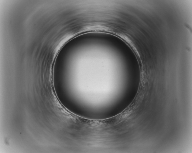 X0000100850815200806201212