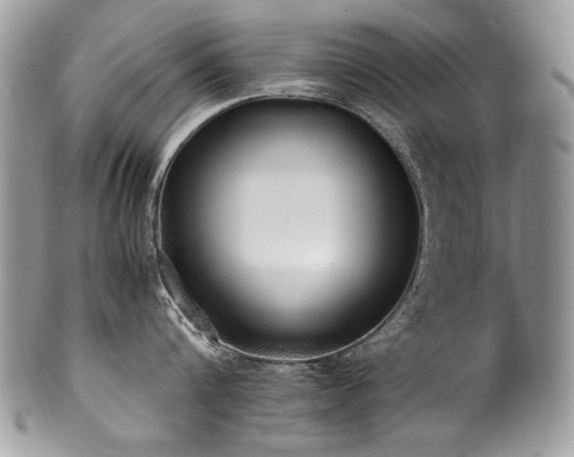 X0000100850816200806201212