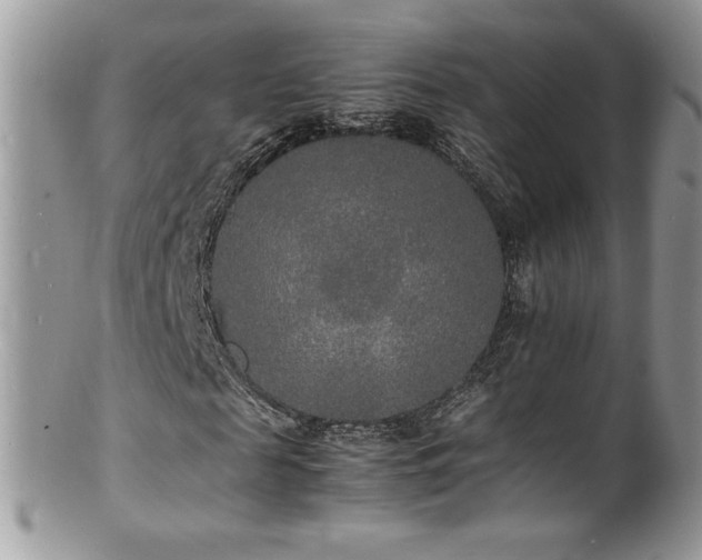 X0000100850817200806201212