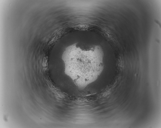 X0000100850818200806201212