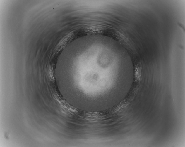 X0000100850819200806201212