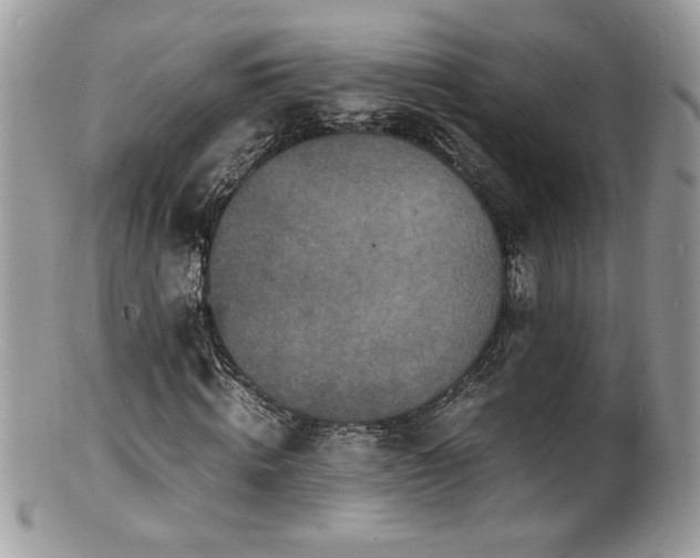 X0000100850820200806201212