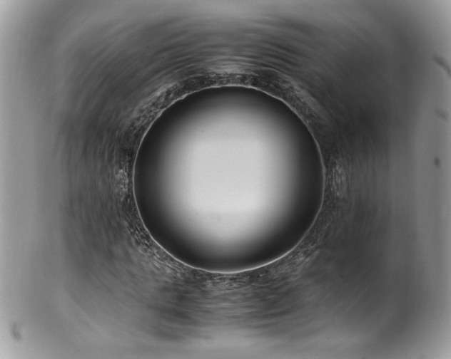 X0000100850821200806201212