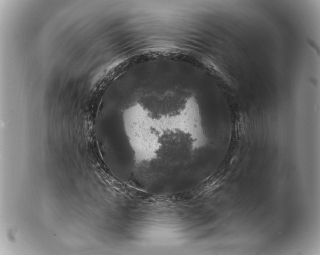 X0000100850822200806201212