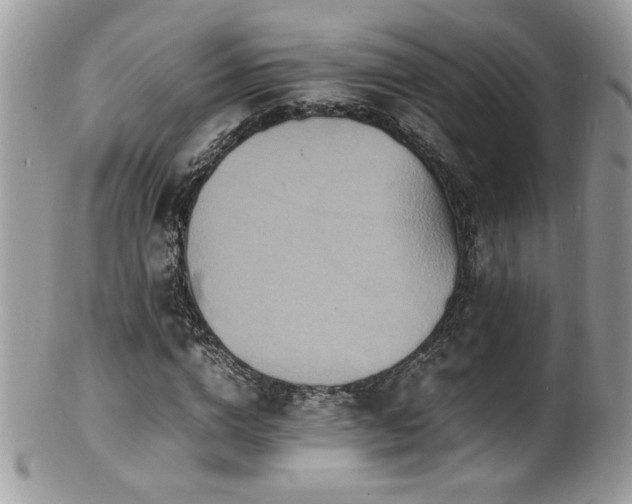 X0000100850824200806201212