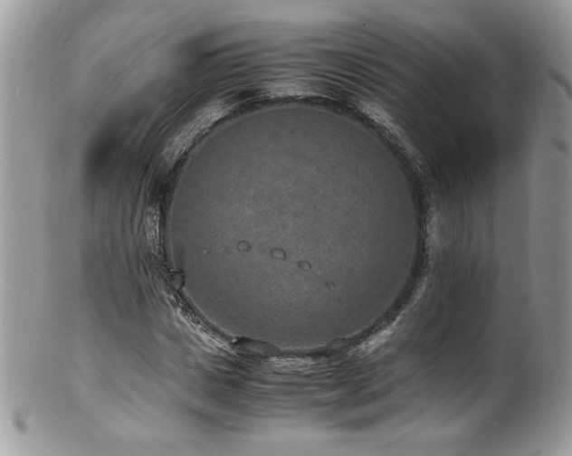 X0000100850825200806201212
