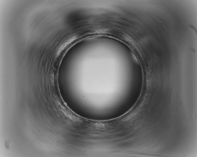X0000100850827200806201212
