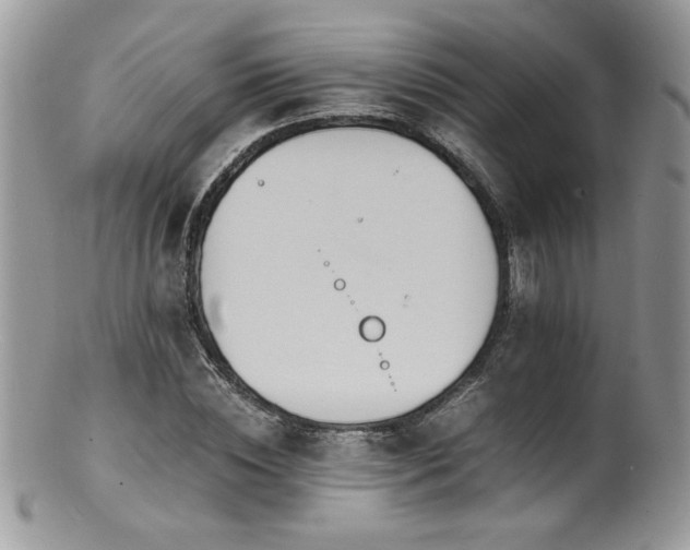 X0000100850828200806201212