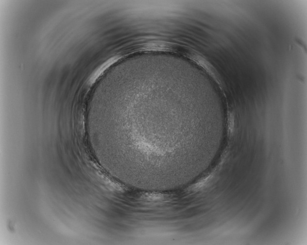 X0000100850829200806201212
