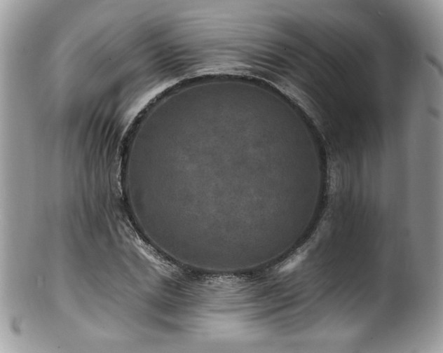 X0000100850830200806201212