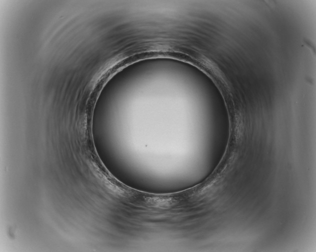 X0000100850831200806201212