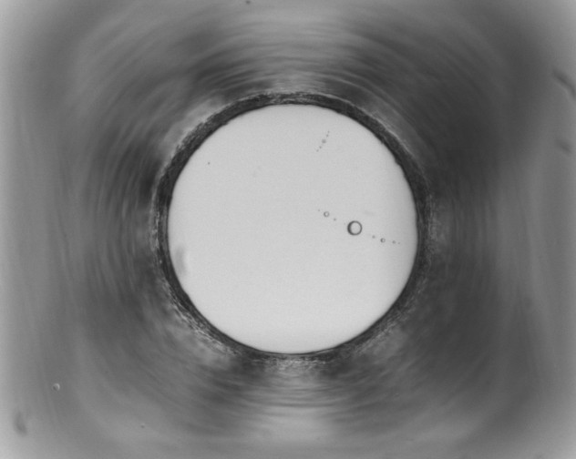 X0000100850832200806201212