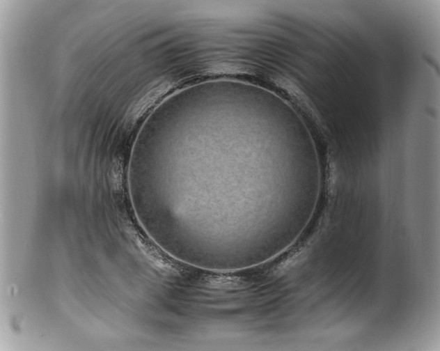 X0000100850833200806201212